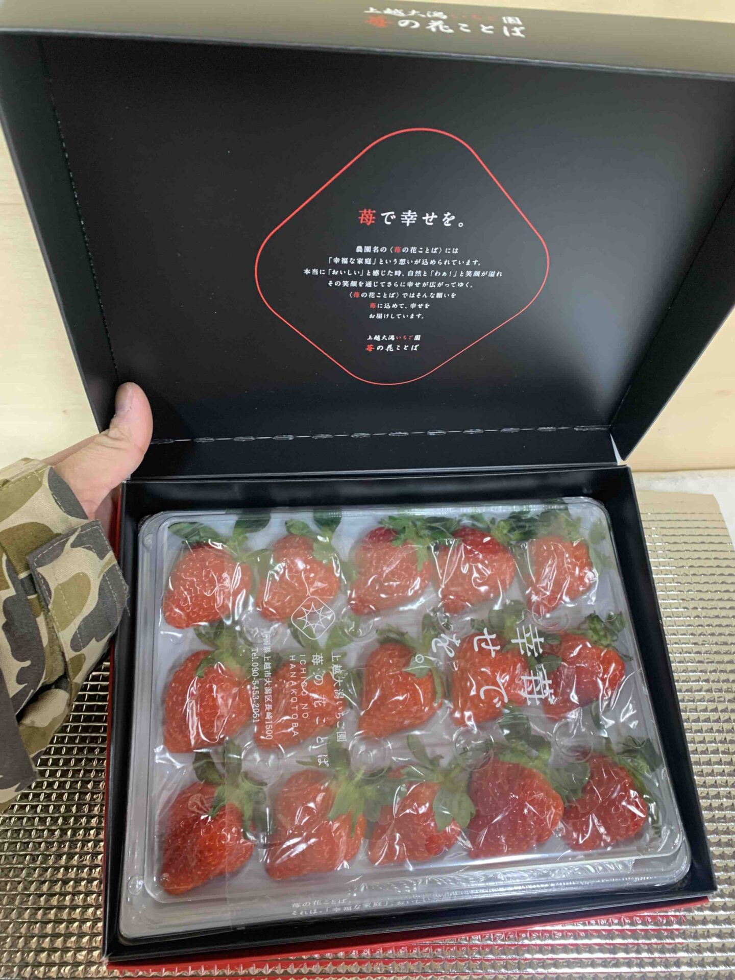 手に持った越後姫の大きさが分かるサイズ感の写真