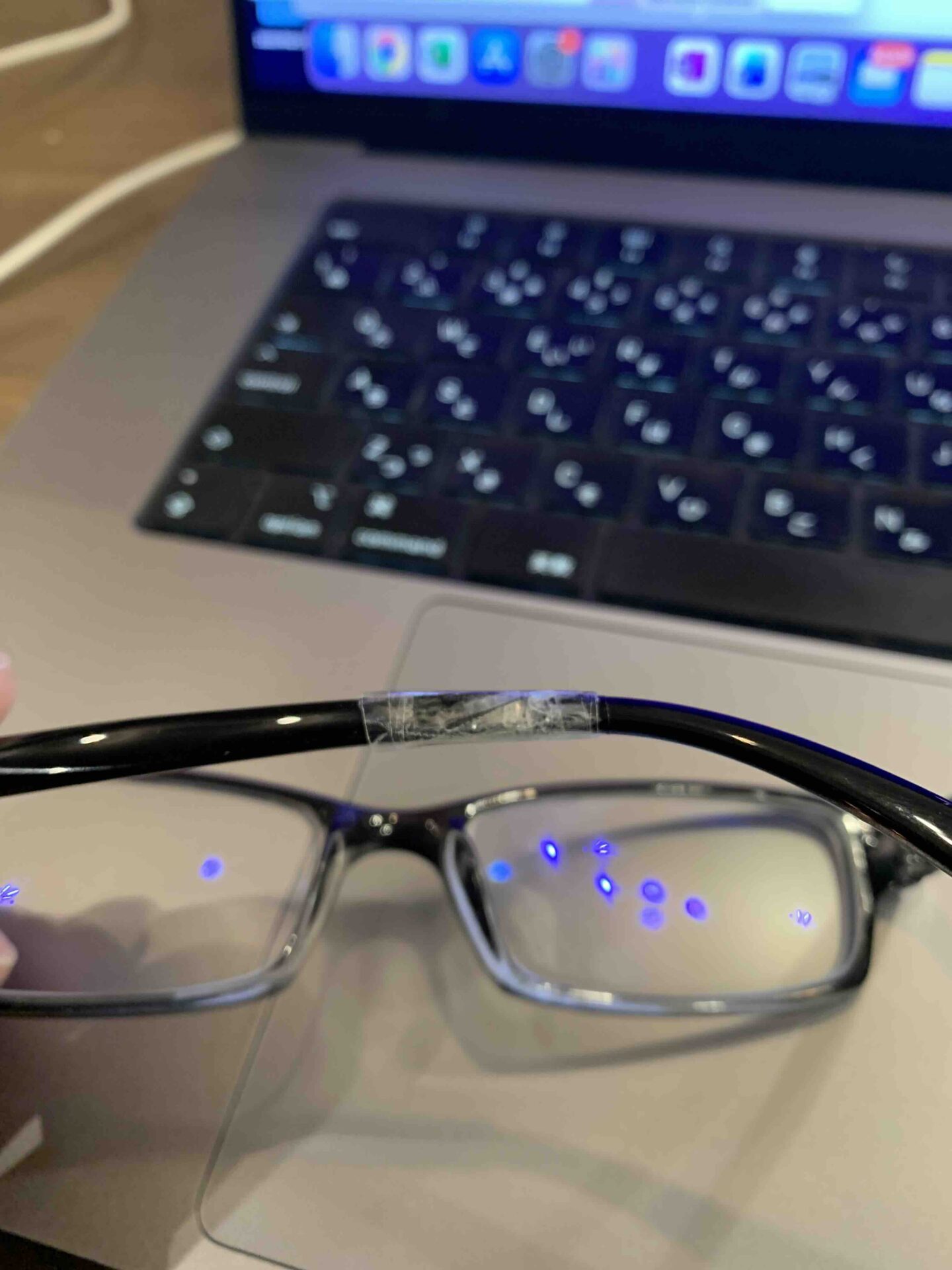 子どもたちの突撃で折れてしまった園主のメガネ