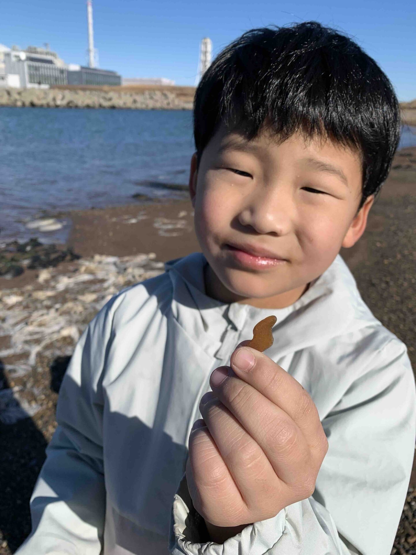 佐渡の形みたいなシーグラス