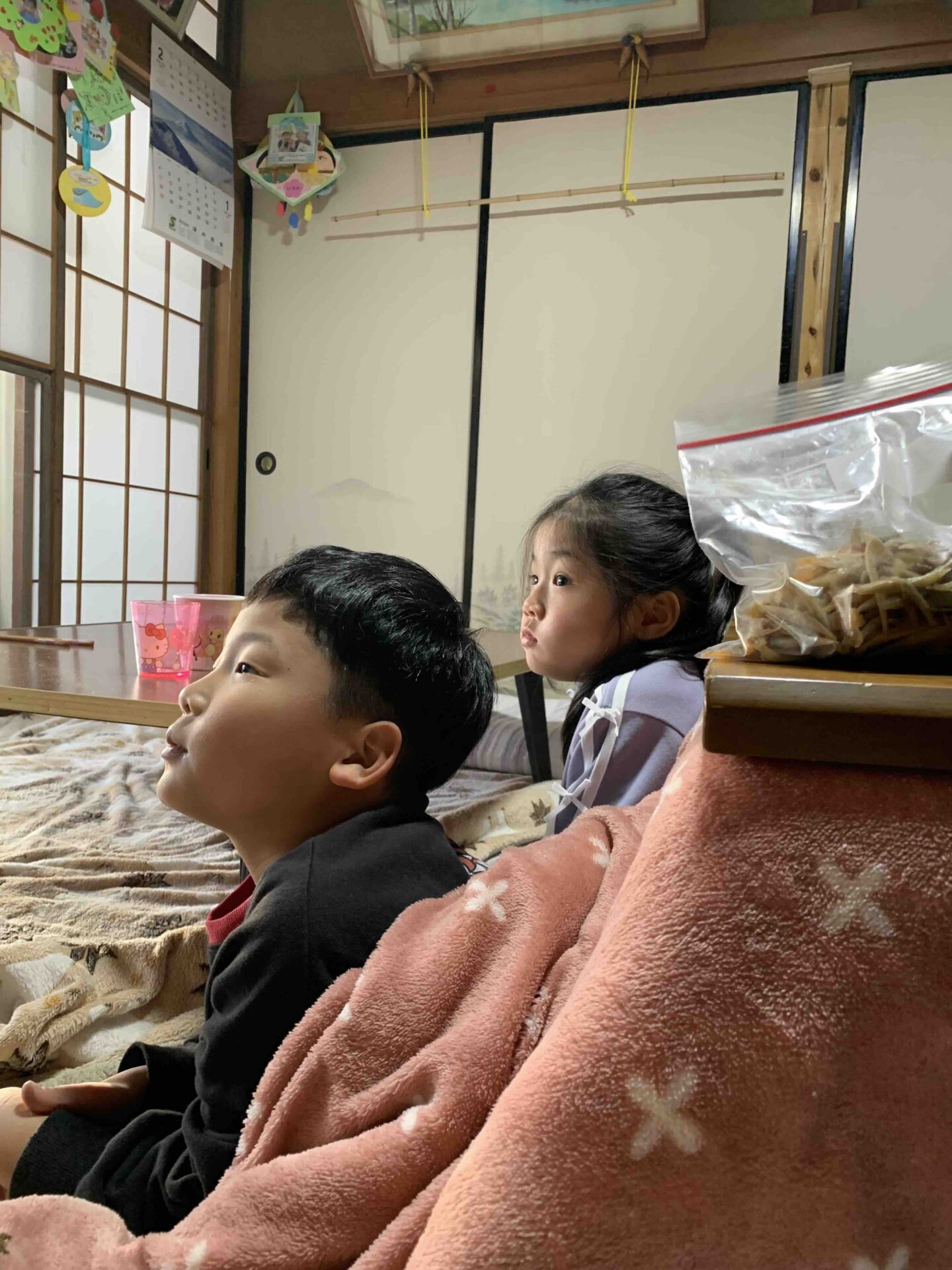 実家のこたつでくつろぐ時間