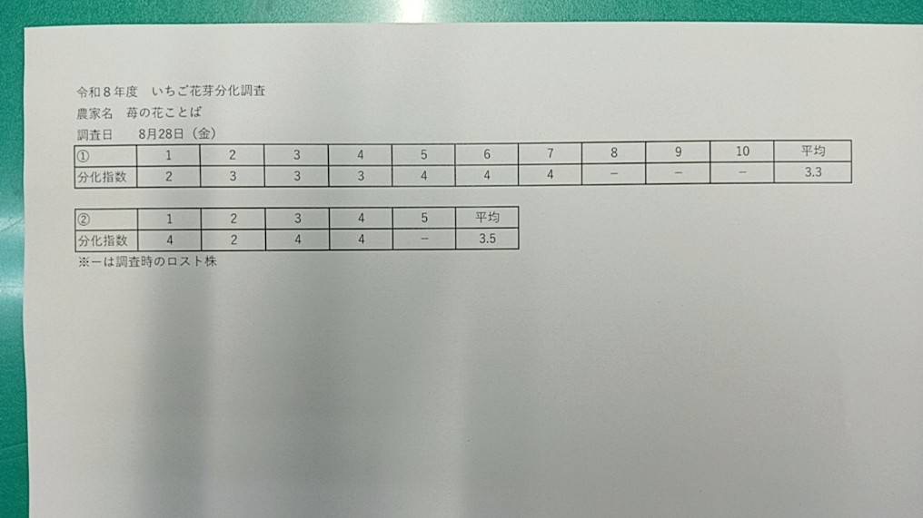 越後姫の1株ごとの花芽分化指数の調査結果