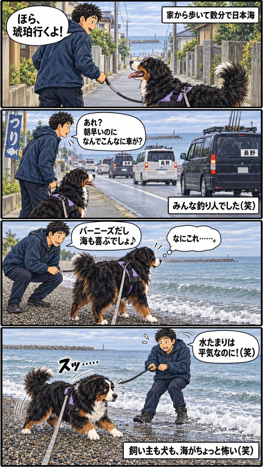 初めて日本海へ行った琥珀が波を怖がって後ずさりする様子を描いた4コマ漫画