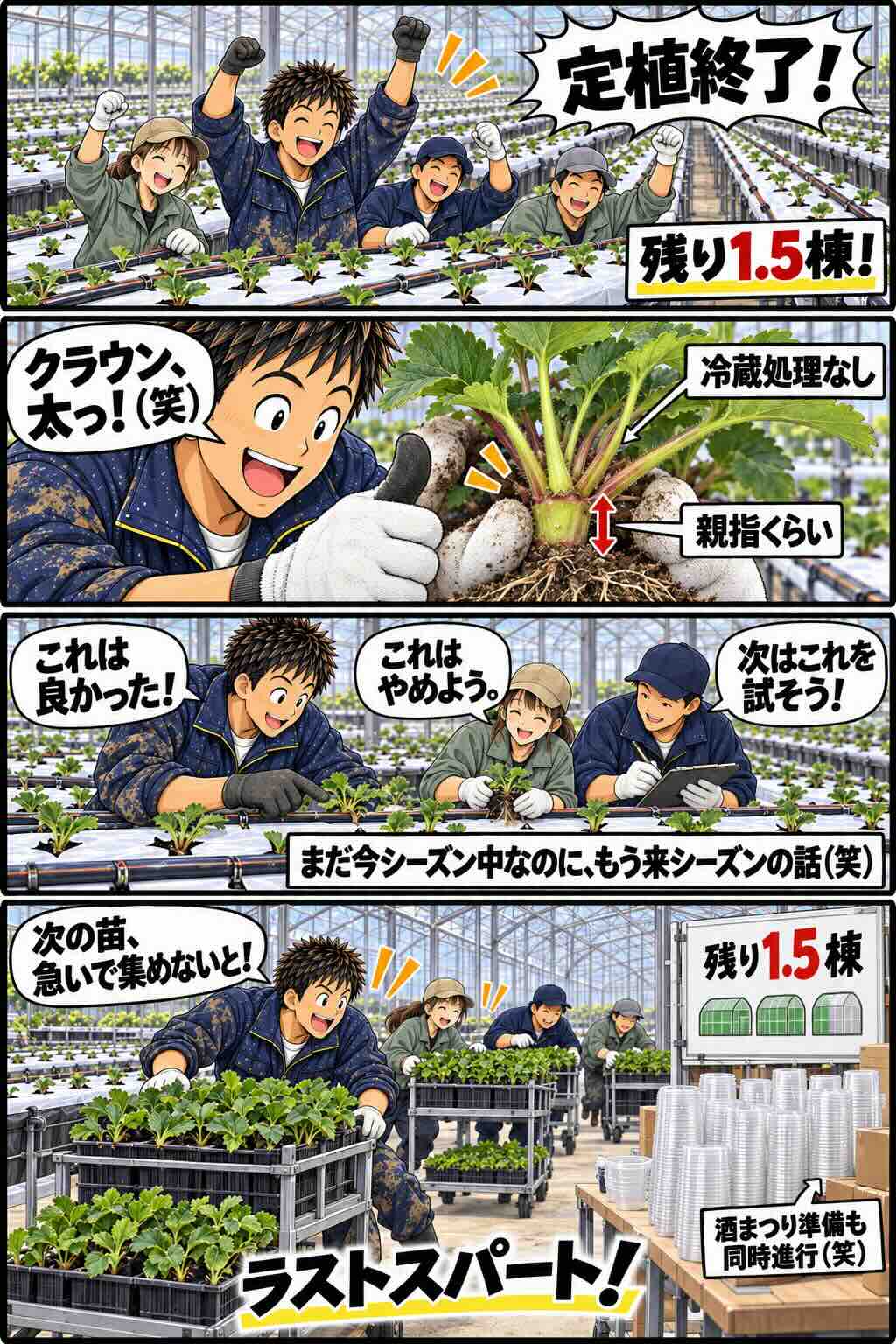越後姫を定植しながら来シーズンの改善について話す様子を描いた4コマ漫画